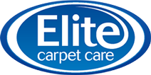 Ft Logo